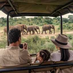 activities Exclusive Wildlife Safaris