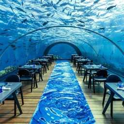 activities – Underwater and Unique Dining Experiences