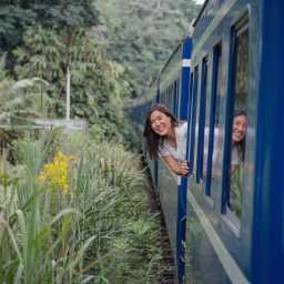 activities – luxury train journey